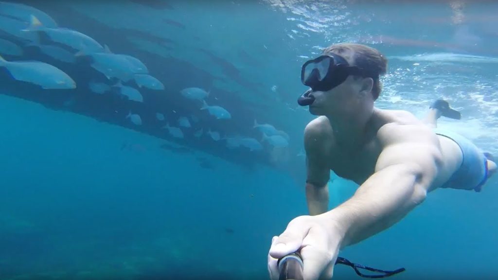 Na Pali Coast Kauai, Hawaii - Amazing Diving/Snorkeling